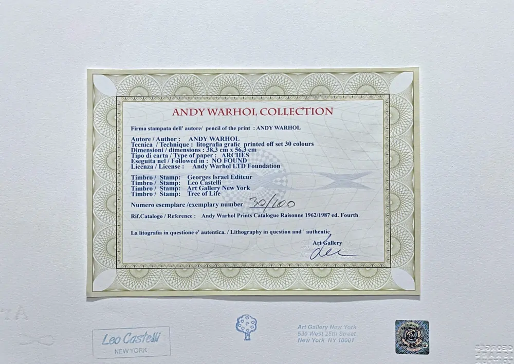 Andy Warhol - Cat Sam barevný II 30/100 - edice Leo Castelli s certifikátem