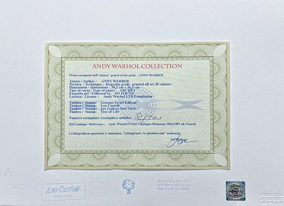 Andy Warhol - Cat Sam barevný III 52/100 - edice Leo Castelli s certifikátem