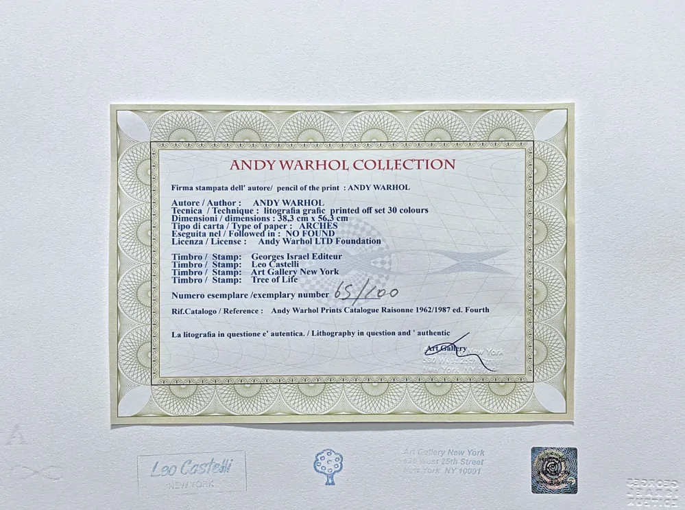 Andy Warhol - Scandinavian Beauty 65/100 - edice Leo Castelli s certifikátem