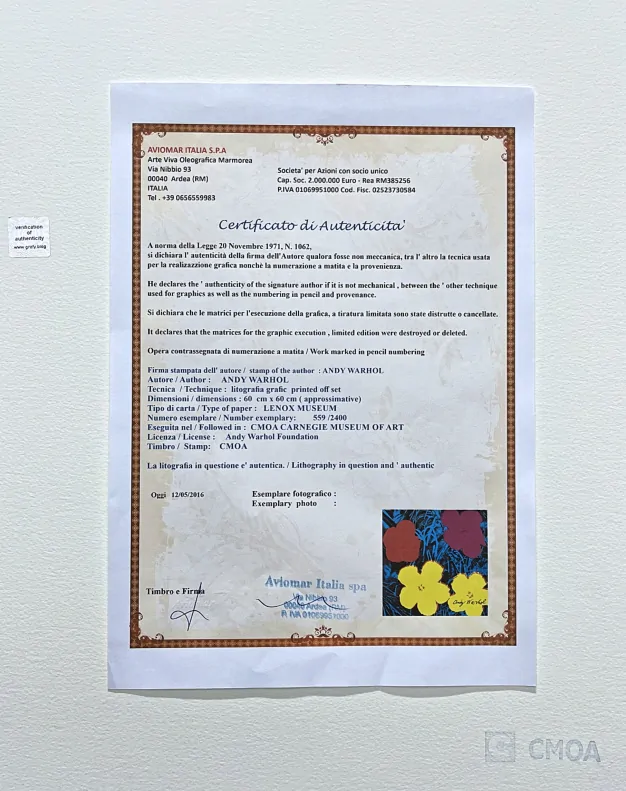 Andy Warhol - Flowers fialovo-žluté x/2400 - 60x60cm, limitovaná edice CMOA s certifikátem