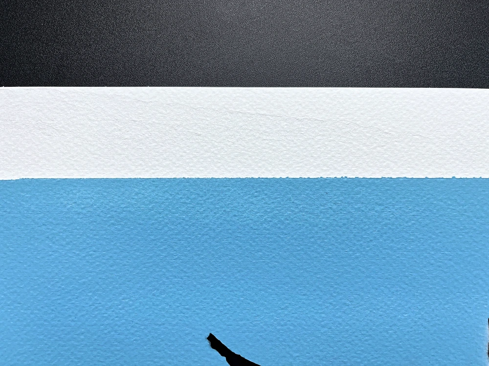BANKSY/NOT BANKSY - Swooping Seagull L/blue 1/5 -  originální ručně stříkaný sprej na papíře