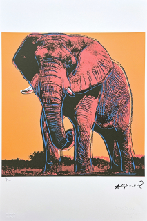 Andy Warhol - Elephant oranžový 92/100 - edice Leo Castelli s certifikátem