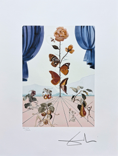 Salvador Dalí - La rose papillon - signováno, limitovaná edice, 50x66cm