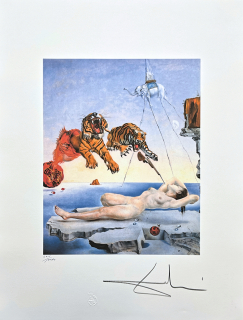 Salvador Dalí - Dream caused by the flights of a bee - signováno, limitovaná edice, 50x66cm