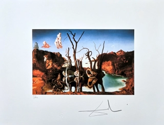 Salvador Dalí - Swans Reflecting Elephants - signováno, limitovaná edice, 50x66cm