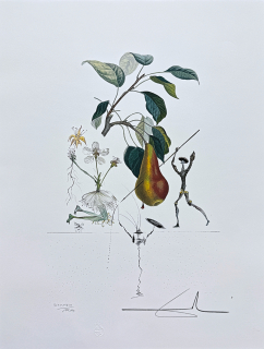 Salvador Dalí - Flordali Les Fruis - signováno, limitovaná edice, 50x66cm