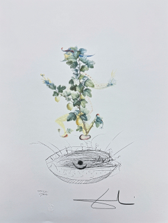 Salvador Dalí - Currant's Reverence - signováno, limitovaná edice, 50x66cm
