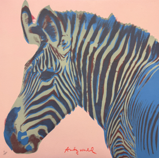 Andy Warhol - Grevys zebra růžová 18/2400 - 60x60cm, limitovaná edice CMOA s certifikátem