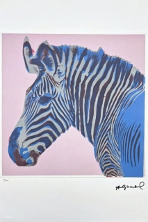 Andy Warhol - Grevys zebra růžová 49/100 - edice Leo Castelli s certifikátem