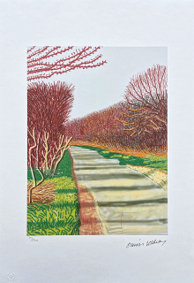 David Hockney - The Yosemite suit with bushes 73/500 - limitovaná edice s certifikátem, 35x50 cm