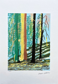 David Hockney - The Yosemite suite no.7 64/500 - limitovaná edice s certifikátem, 35x50 cm