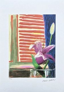 David Hockney - View through the Artist’s bedroom window 18/500 - limitovaná edice s certifikátem, 35x50 cm