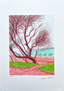 David Hockney - The Arrival of Spring in Woldgate - 18th March 57/500 - limitovaná edice s certifikátem, 35x50 cm