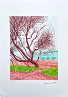 David Hockney - The Arrival of Spring in Woldgate - 18th March x/500 - limitovaná edice s certifikátem, 35x50 cm