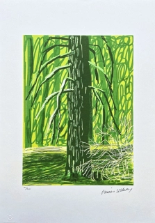 David Hockney - The Yosemite suite no.18 100/500 - limitovaná edice s certifikátem, 35x50 cm