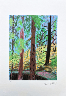 David Hockney - The Yosemite suite no.6 183/500 - limitovaná edice s certifikátem, 35x50 cm