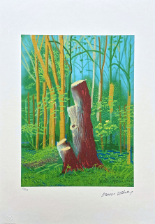 David Hockney - The Arrival of Spring in Woldgate no.24 81/500 - limitovaná edice s certifikátem, 35x50 cm