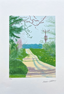 David Hockney - The Arrival of Spring in Woldgate no.11 35/500 - limitovaná edice s certifikátem, 35x50 cm