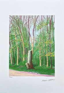 David Hockney - The Arrival of Spring in Woldgate no.13 161/500 - limitovaná edice s certifikátem, 35x50 cm