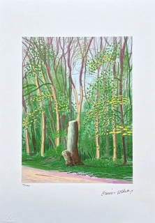David Hockney - The Arrival of Spring in Woldgate no.13 x/500 - limitovaná edice s certifikátem, 35x50 cm