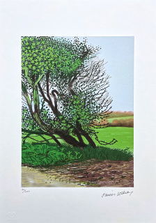 David Hockney - The Arrival of Spe ring in Woldgate - Leaning Tre 190/500 - limitovaná edice s certifikátem, 35x50 cm