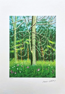 David Hockney - The Arrival of Spring in Woldgate no.17 x/500 - limitovaná edice s certifikátem, 35x50 cm