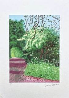 David Hockney - The Arrival of Spring in Woldgate no.24 x/500 - limitovaná edice s certifikátem, 35x50 cm