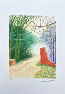 David Hockney - The Arrival of Spring in Woldgate Turquoise x/500 - limitovaná edice s certifikátem, 35x50 cm