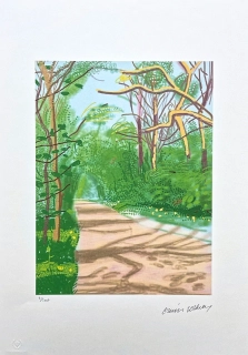 David Hockney - The Arrival of Spring in Woldgate no.14 x/500 - limitovaná edice s certifikátem, 35x50 cm