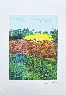 David Hockney - Field with Corn 17/500 - limitovaná edice s certifikátem, 35x50 cm