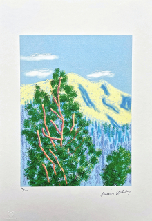David Hockney - The Yosemite suite no.9 119/500 - limitovaná edice s certifikátem, 35x50 cm