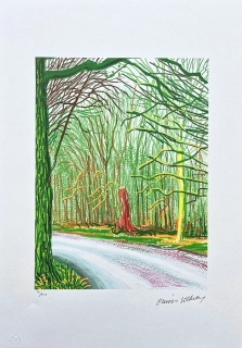 David Hockney - The Arrival of Spring in Woldgate 23th April x/500 - limitovaná edice s certifikátem, 35x50 cm