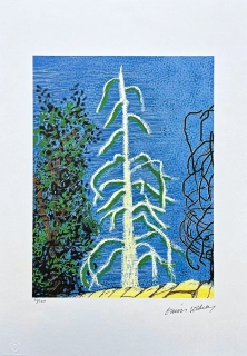 David Hockney - The Yosemite suite no.14 60/500 - limitovaná edice s certifikátem, 35x50 cm