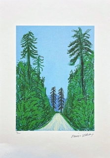 David Hockney - Trees in the Wood x/500 - limitovaná edice s certifikátem, 35x50 cm