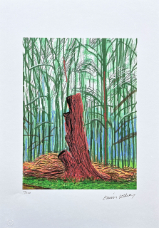 David Hockney - The Arrival of Spring in Woldgate 20th February 100/500 - limitovaná edice s certifikátem, 35x50 cm