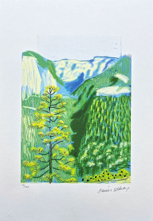 David Hockney - The Yosemite suite no.20 41/500 - limitovaná edice s certifikátem, 35x50 cm