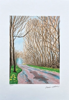 David Hockney - The Arrival of Spring in Woldgate 1st April x/500 - limitovaná edice s certifikátem, 35x50 cm