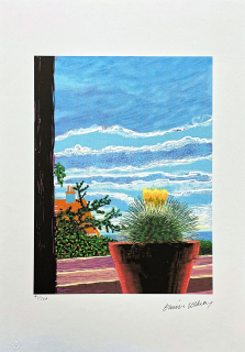 David Hockney - Cactus with Yellow Flowers 41/500 - limitovaná edice s certifikátem, 35x50 cm