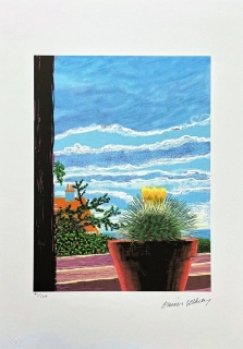 David Hockney - Cactus with Yellow Flowers x/500 - limitovaná edice s certifikátem, 35x50 cm