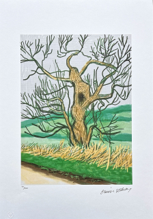 David Hockney - The Arrival of Spring in Woldgate - Willow 99/500 - limitovaná edice s certifikátem, 35x50 cm