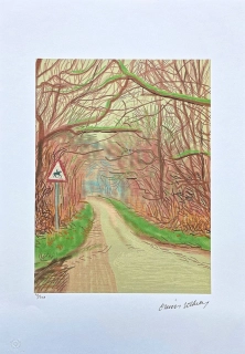 David Hockney - The Arrival of Spring in Woldgate 14th March - Road x/500 - limitovaná edice s certifikátem, 35x50 cm