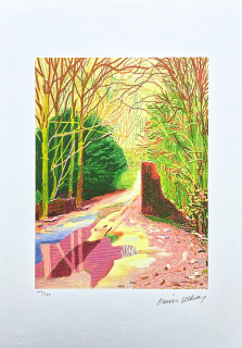 David Hockney - The Arrival of Spring in Woldgate 2nd January 104/500 - limitovaná edice s certifikátem, 35x50 cm