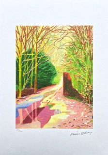 David Hockney - The Arrival of Spring in Woldgate 2nd January x/500 - limitovaná edice s certifikátem, 35x50 cm