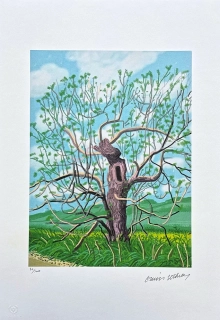 David Hockney - The Arrival of Spring in Woldgate - Willow II x/500 - limitovaná edice s certifikátem, 35x50 cm