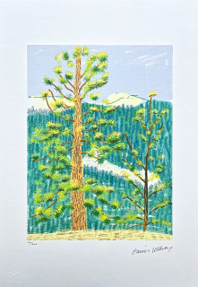 David Hockney - The Yosemite suite no.8 60/500 - limitovaná edice s certifikátem, 35x50 cm