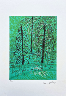David Hockney - The Yosemite suite no.16 27/500 - limitovaná edice s certifikátem, 35x50 cm