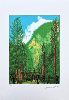 David Hockney - The Yosemite suite - Four Trees x/500 - limitovaná edice s certifikátem, 35x50 cm