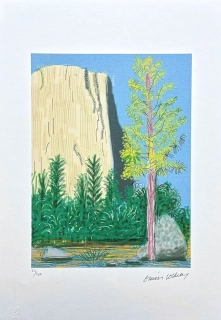 David Hockney - The Yosemite suite no.22 x/500 - limitovaná edice s certifikátem, 35x50 cm
