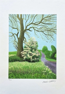 David Hockney - The Arrival of Spring in Woldgate with white Bushes 69/500 - limitovaná edice s certifikátem, 35x50 cm