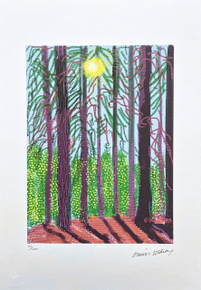 David Hockney - The Yosemite suite no.4 155/500 - limitovaná edice s certifikátem, 35x50 cm